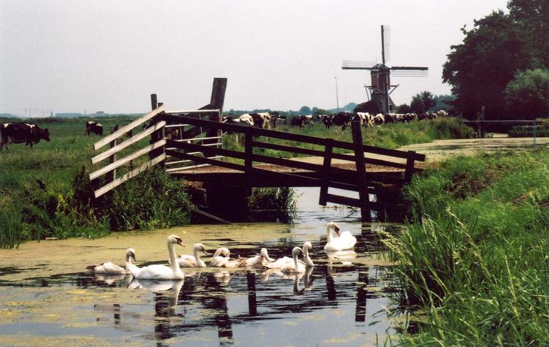 Spookverlaat bei Alphen am Rijn die Niederlande