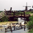 Spookverlaat bei Alphen am Rijn die Niederlande