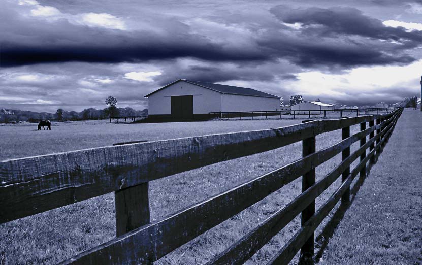 Spooky Farm........