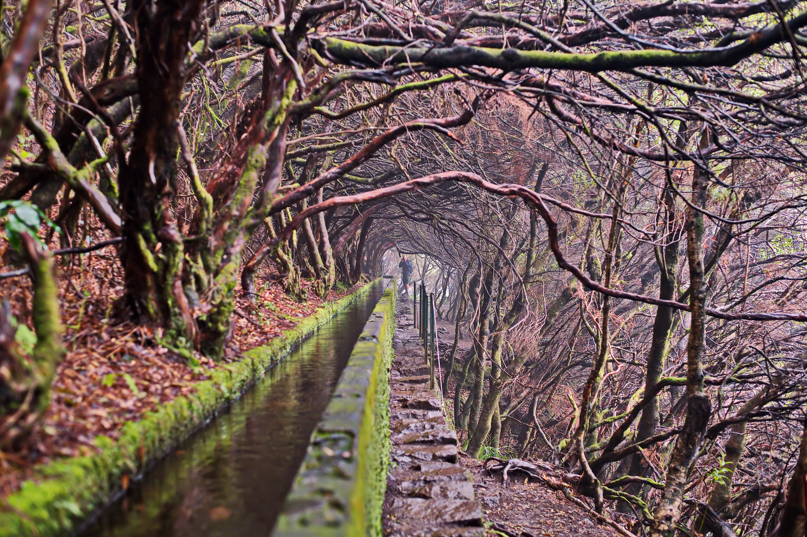 Spooky Levada 