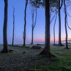 Spooky Silhouettes