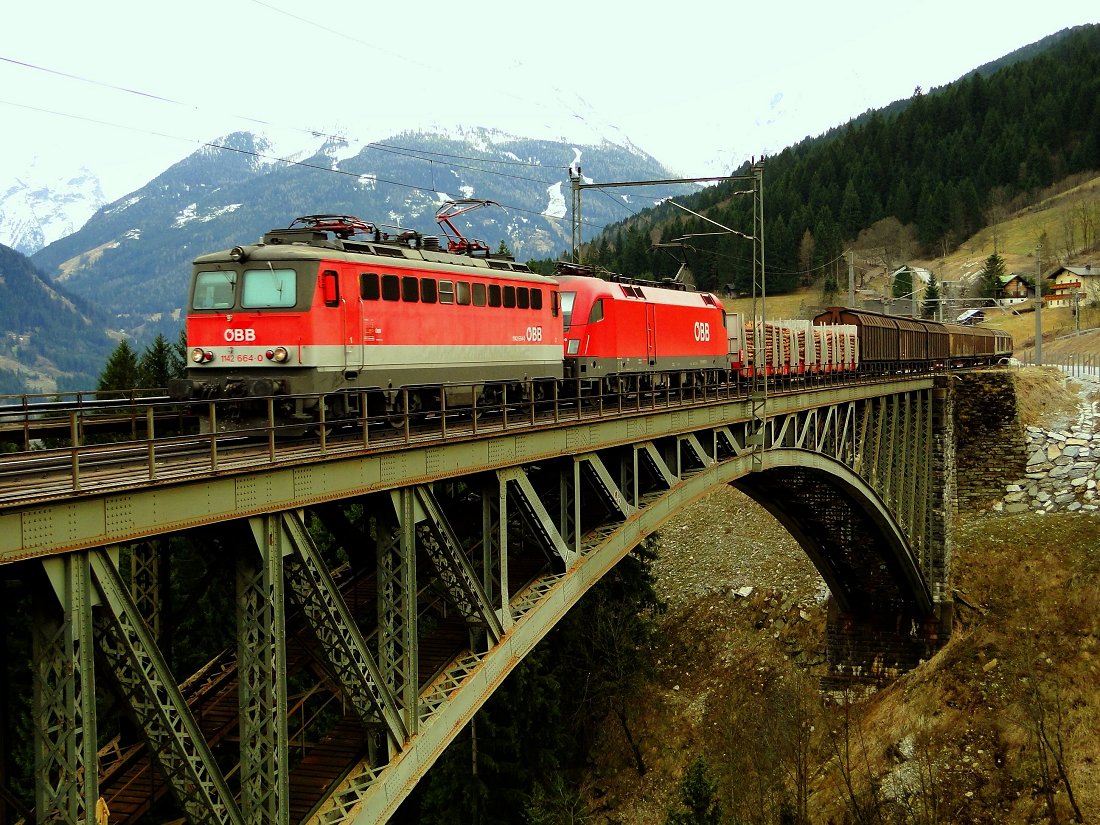 "Sporadische Gäste", Angertal, 31.03.2011