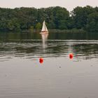 Sport am Dutzendteich