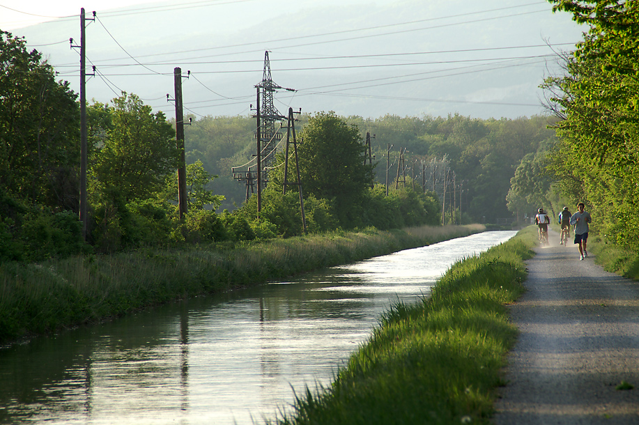 Sport am Wiener Neustädter Kanal