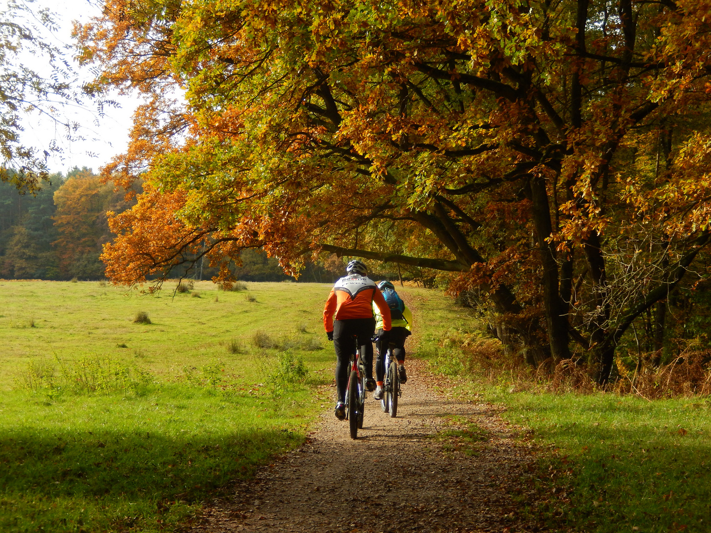 Sport im Herbst