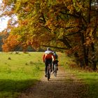 Sport im Herbst