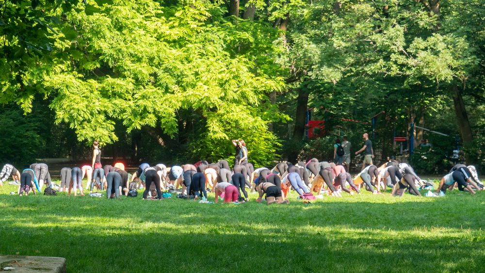 Sport im Park