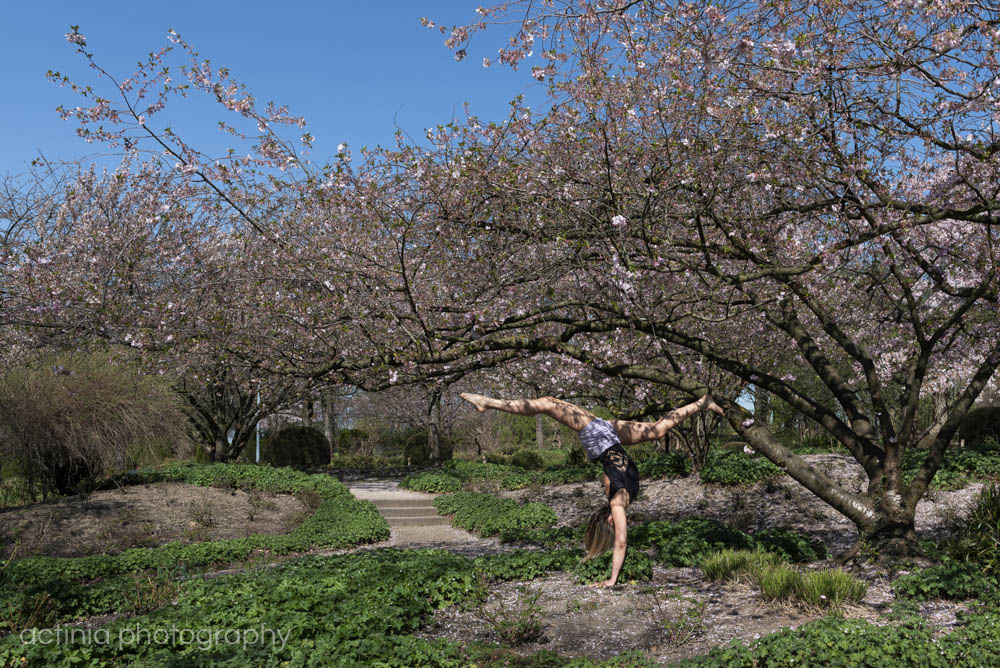 sport in the magic of cherry blossoms