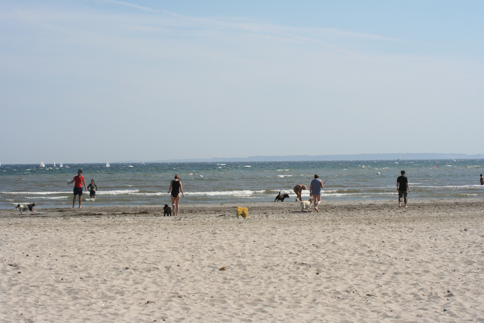 Sport und Hundestrand in Damp SchleswigHolstein Foto & Bild