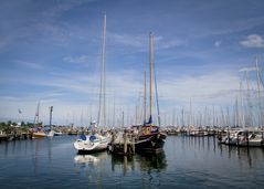 sportboothafen maasholm (ostsee)