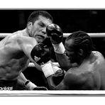 sportfotodienst-stuttgart: Zack Page vs Kubrat Pulev