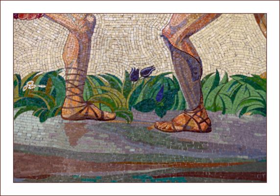 Sportfotografie für Einsteiger