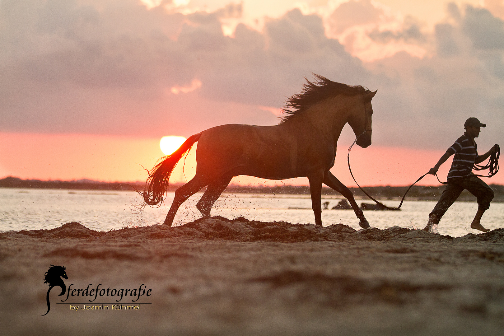 sporting in sunset 