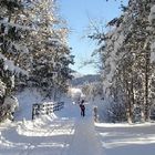 Sportlich aktiv die Stille genießen