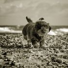 Sportlich am Strand