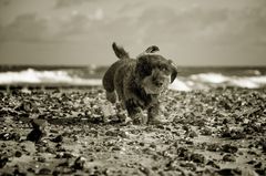 Sportlich am Strand