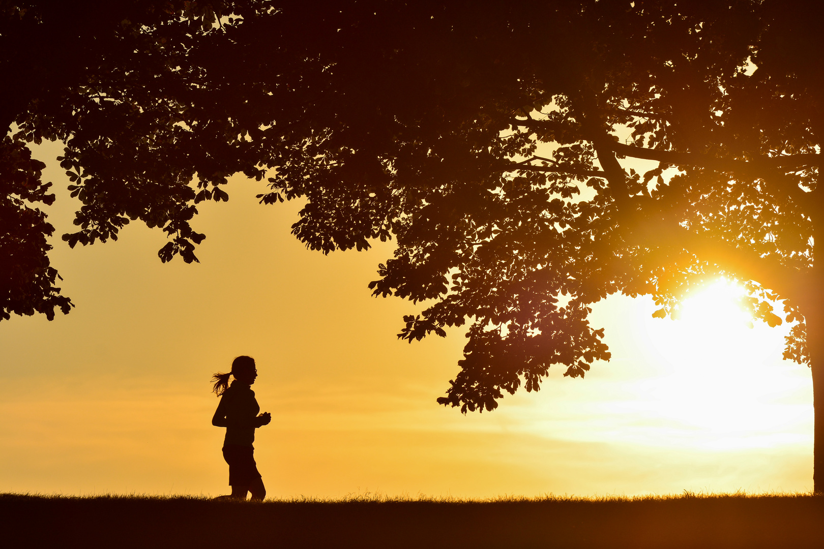 Sportlich der Sonne entgegen