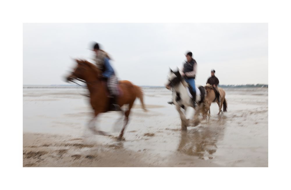 sportlich durchs Wattenmeer