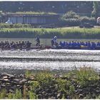 Sportliche Aktivitäten auf dem Schiedersee