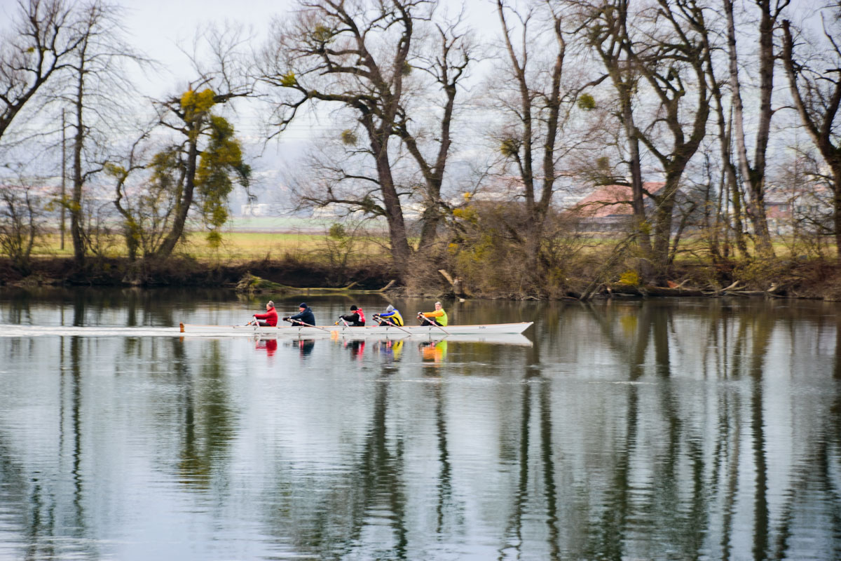 Sportliche unterwegs auf der Aare