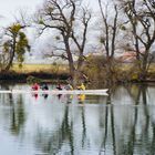 Sportliche unterwegs auf der Aare