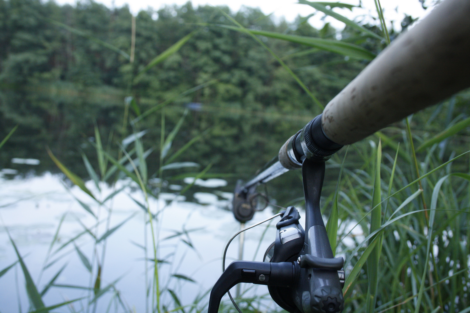 sport+natur.