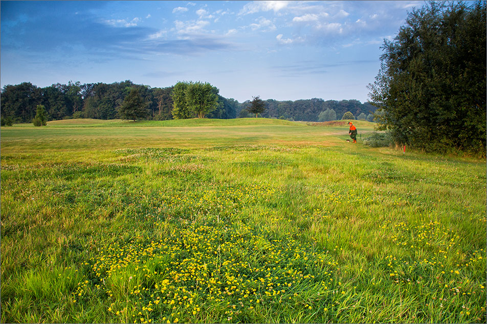 Sportplatz Natur