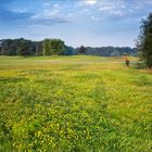 Sportplatz Natur