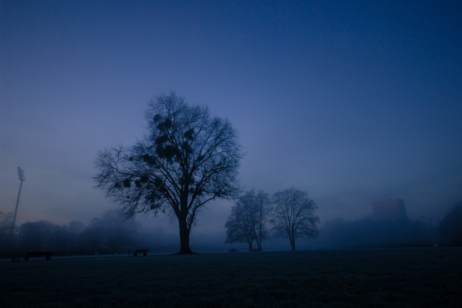 Sportplatz versinkt im Nebel