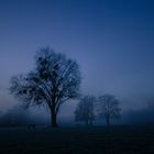 Sportplatz versinkt im Nebel