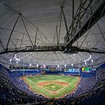 Sports: Tropicana Field