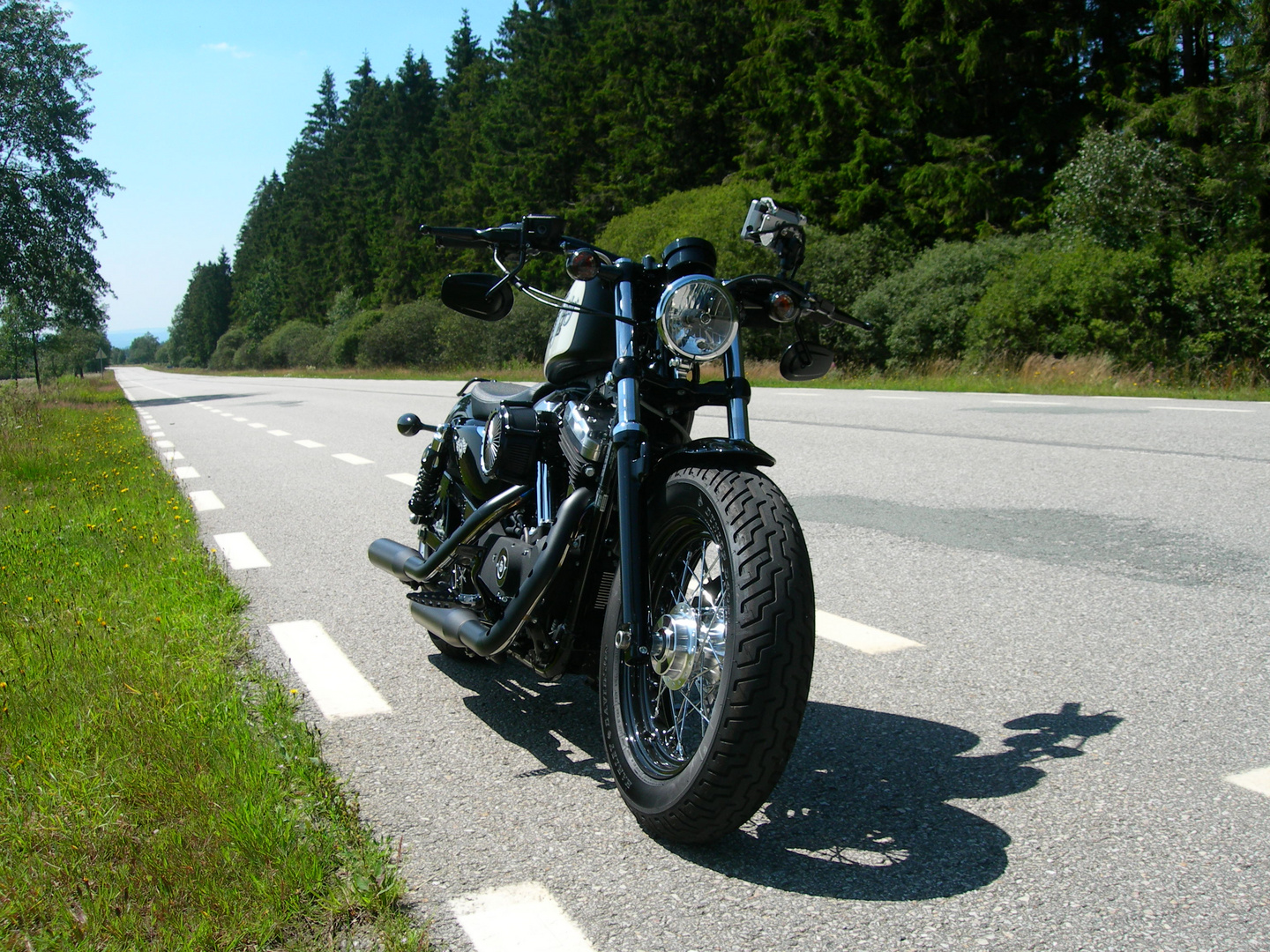 Sportster 48