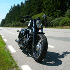 Sportster 48