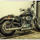 Sportster Custom 1200