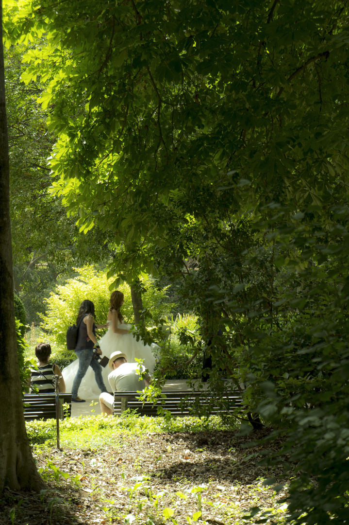 Sposa nel parco