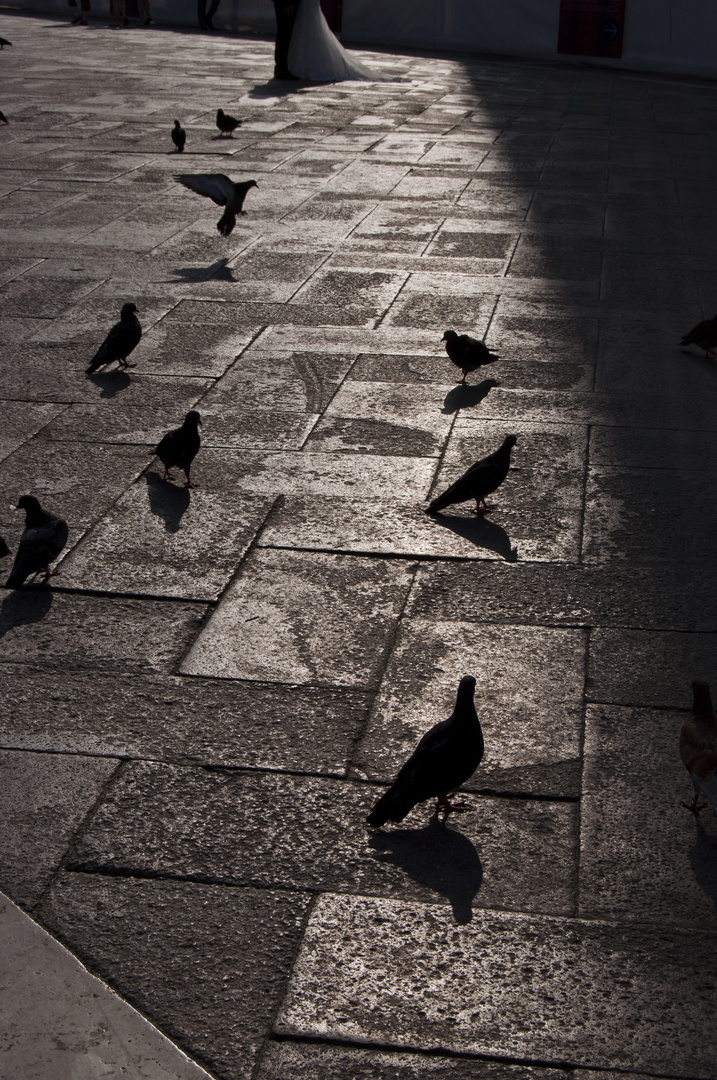 Sposarsi a Piazza San Marco