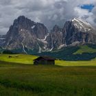 Spot an auf der Seiser Alm