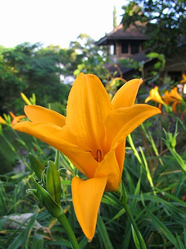 Spot ... at ret-reat Family Altar at Claket East Java (zidaniee)