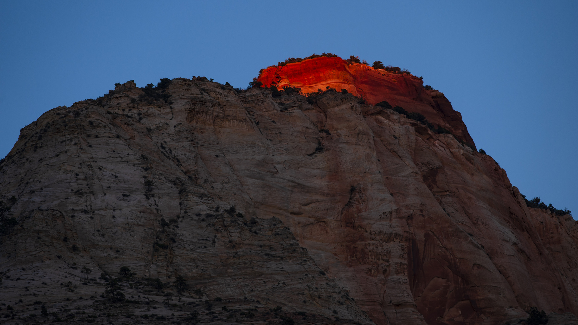 Spotlicht im Zion NP