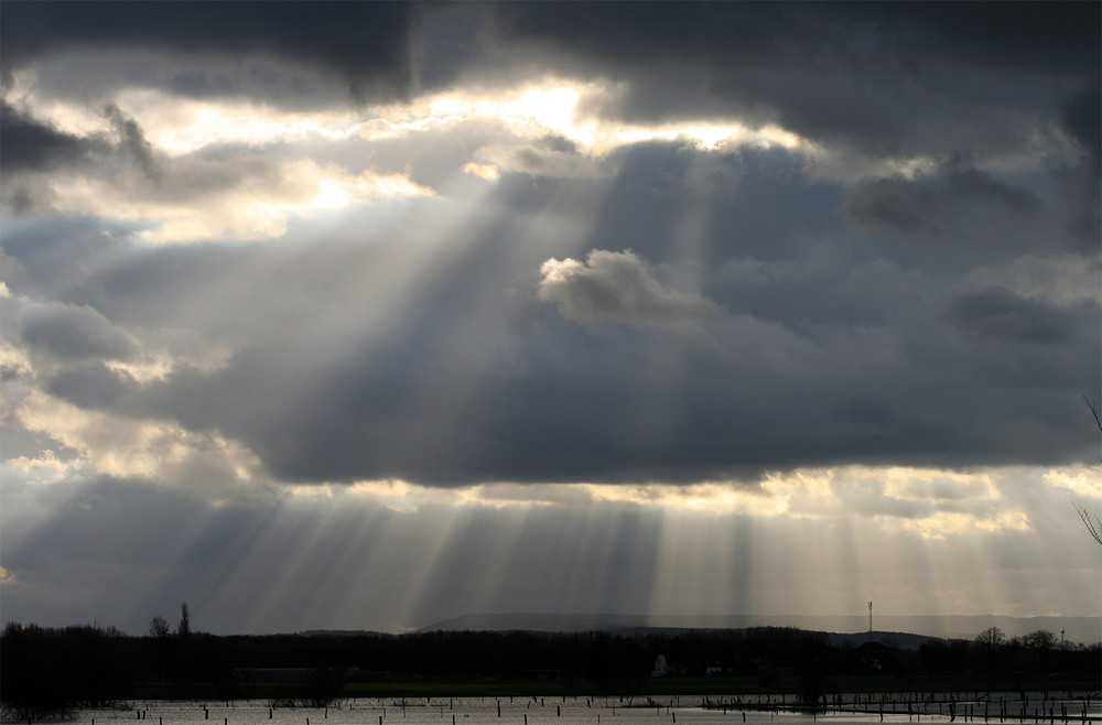 Spotlight auf die geflutete Landschaft