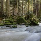 Spotlight (Baden-Württemberg / Deutschland)