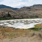 Spotted Lake