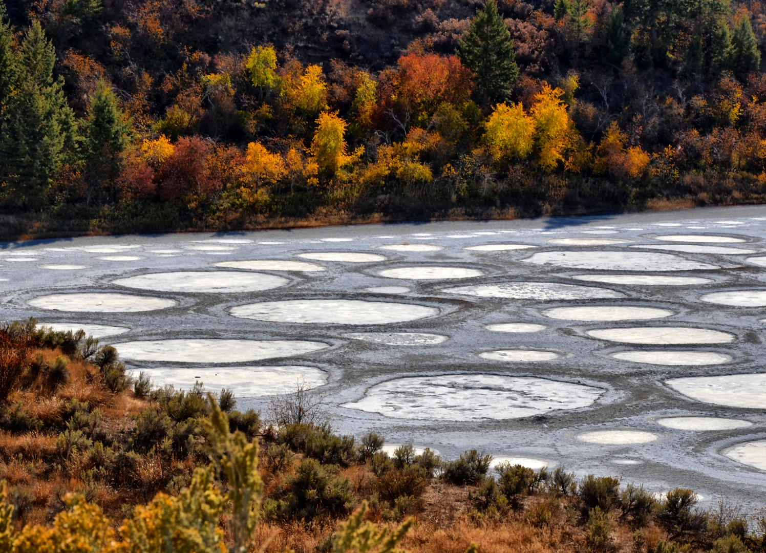 Spotted Lake - Okanagan B. C. Canada