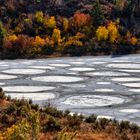 Spotted Lake - Okanagan B. C. Canada