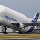 Spotting bei Airbus # 4