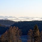 Spotting the Alps