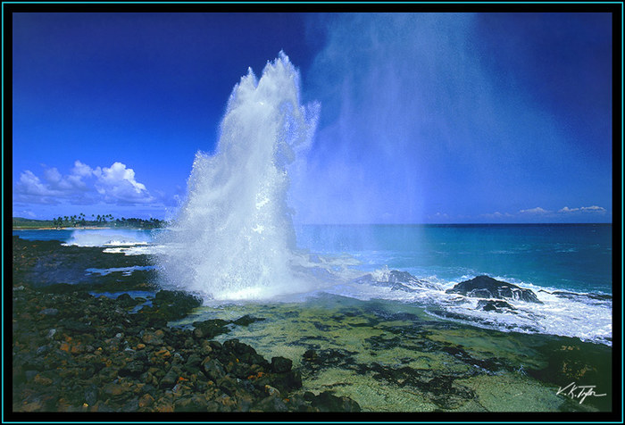 Spouting Horn Blow Hole