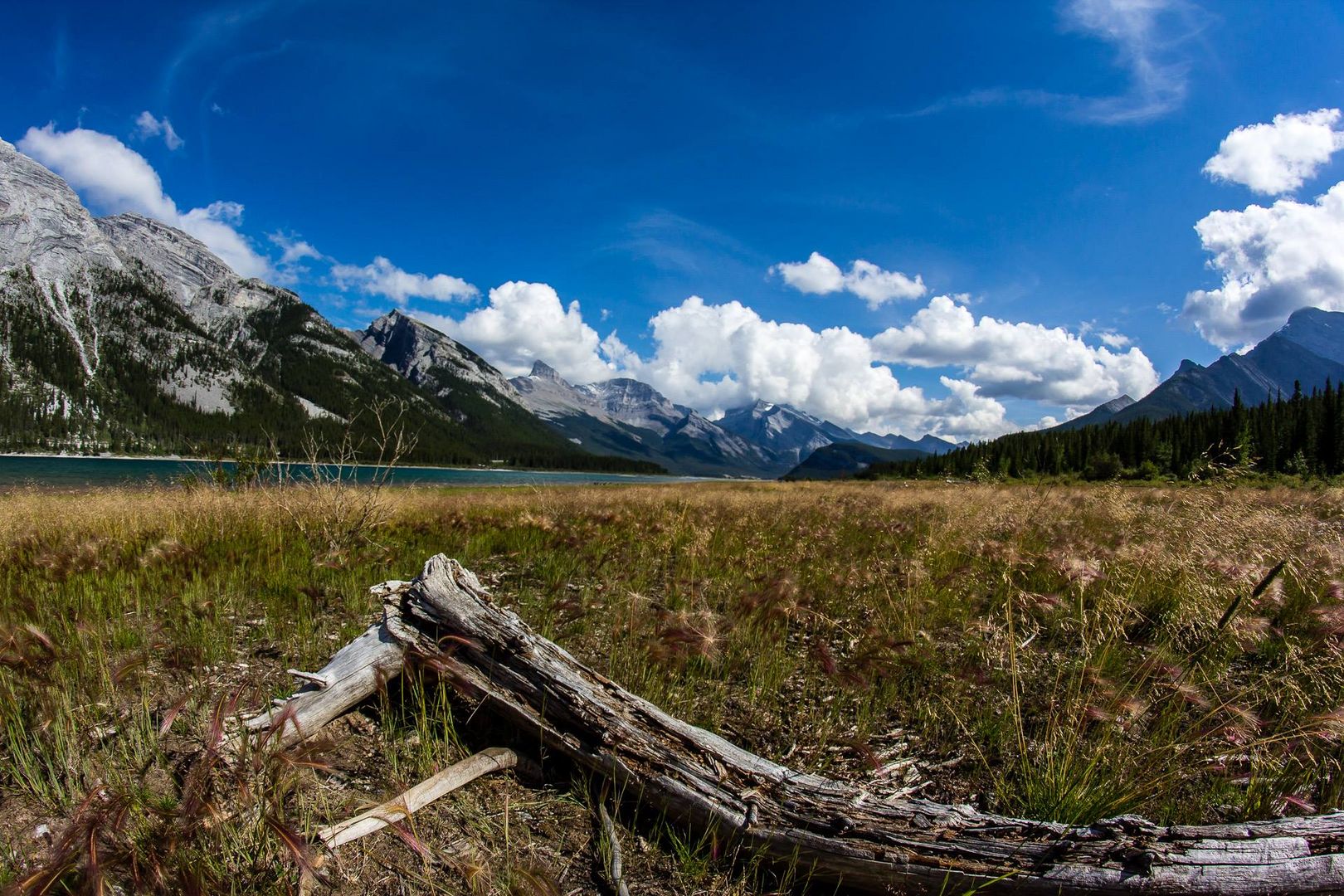 Spray Lakes - Canmore - Kanada