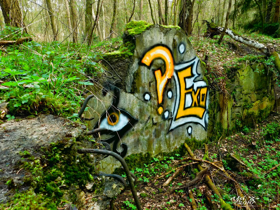 Spray-Wald