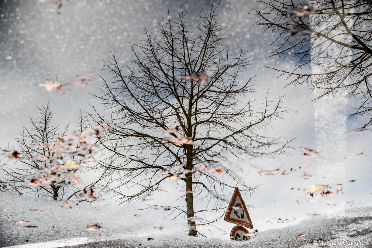 Sprazzi di Autunno in una pozza d'acqua